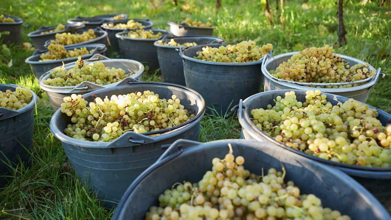 Agriturismo Roccat Valdobbiadene Zewnętrze zdjęcie