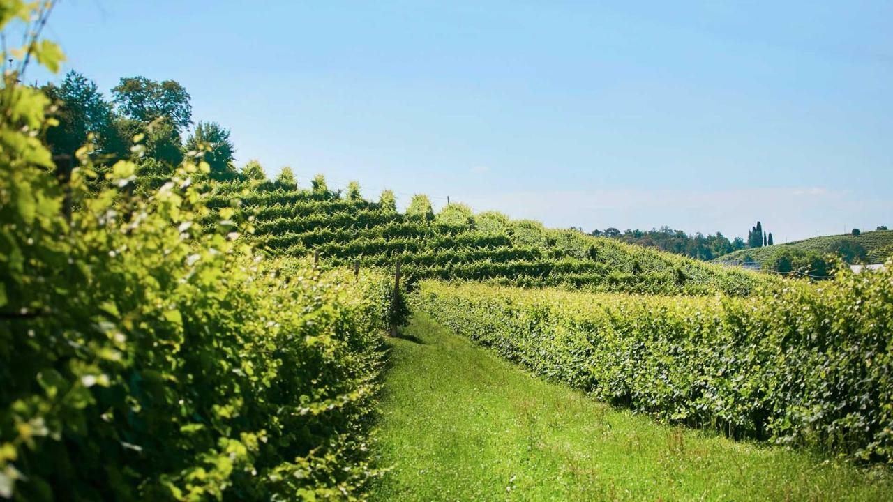 Agriturismo Roccat Valdobbiadene Zewnętrze zdjęcie
